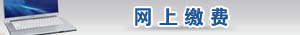 网上缴费